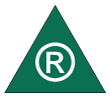 Official green triangle Canadian safety footwear symbol